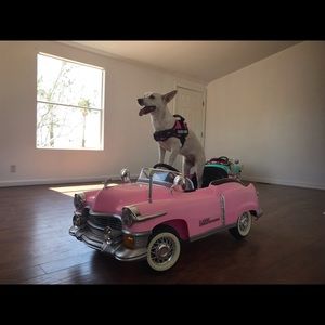 Meet your Posher, Richard